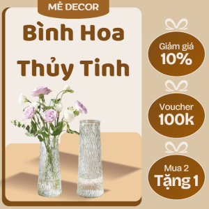 Bình Hoa Thủy Tinh Decor 20CM